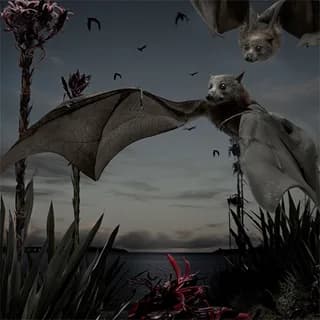 Fruit Bats