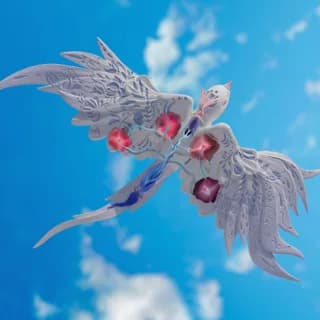 Delicate Muse